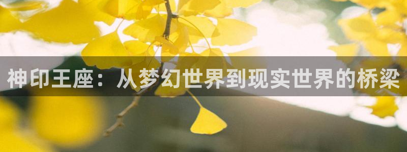 美妙天堂动漫：神印王座：从梦幻世界到现实世界的桥梁